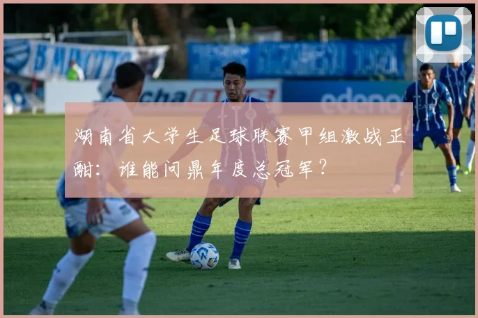 湖南省大学生足球联赛甲组激战正酣:谁能问鼎年度总冠军?